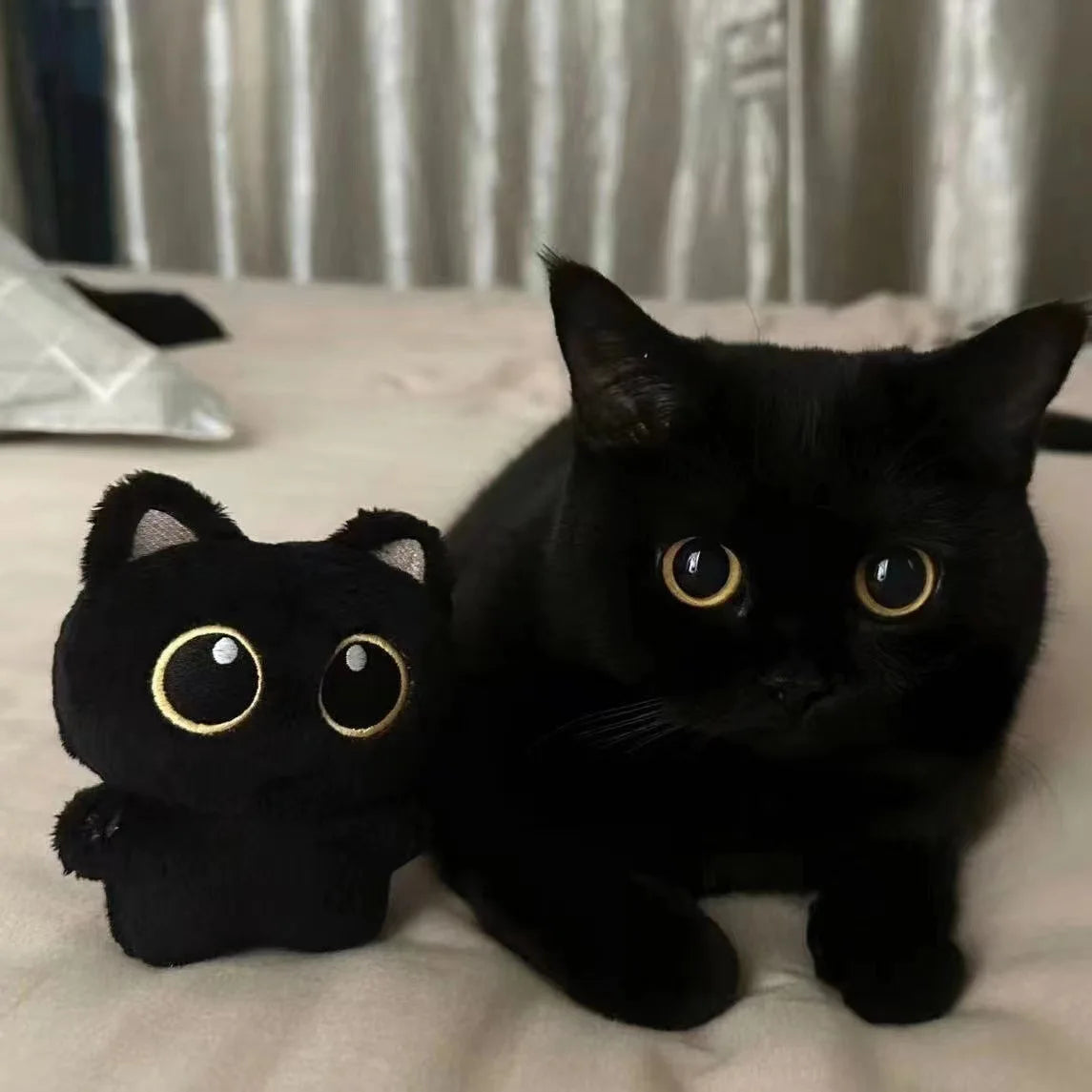 Cute Black Cat Plush Toy